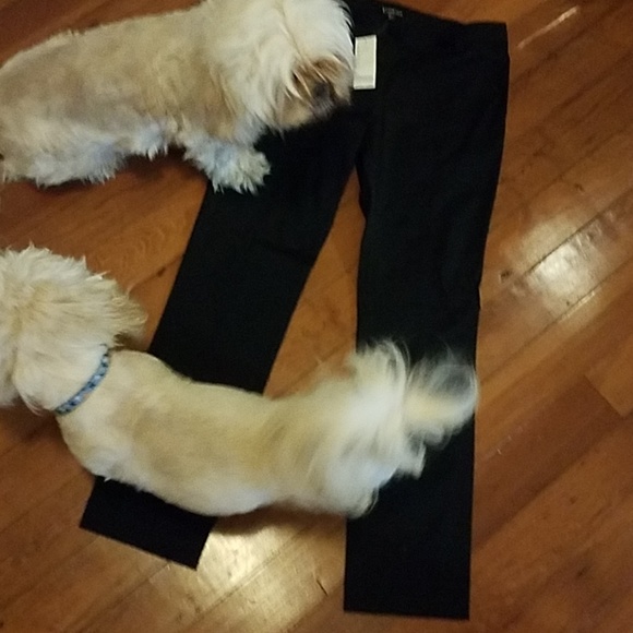 Bebe pants NWT black 0P - Picture 3 of 8
